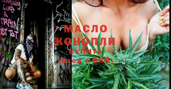 молекула духа Богородск