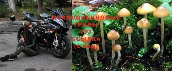 альфа пвп VHQ Богородицк