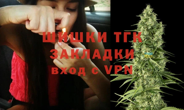 молекула духа Богородск