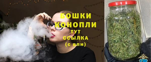 молекула духа Богородск