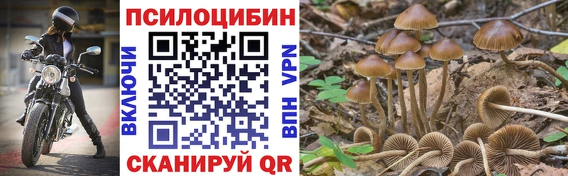 Псилоцибиновые грибы Psilocybe  Коммунар 